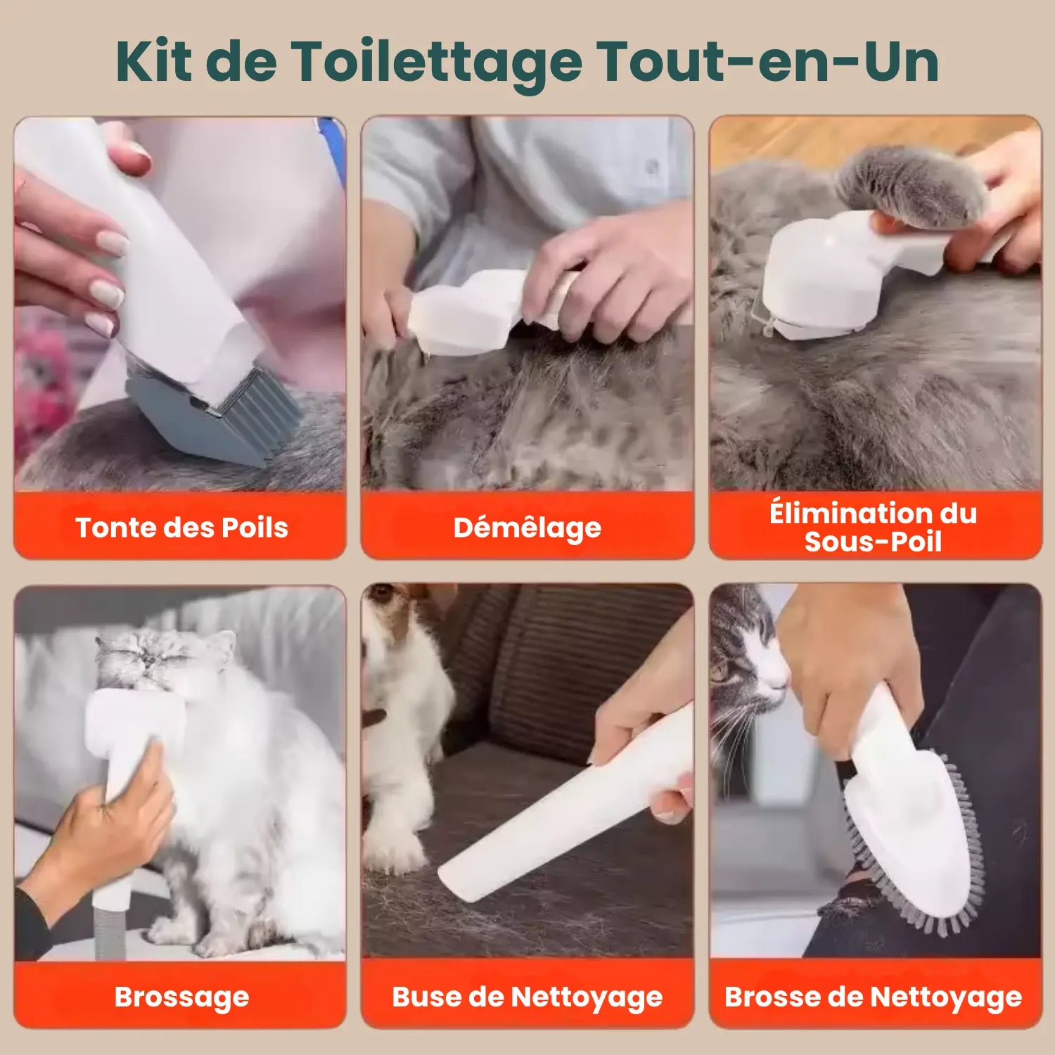 Kit de Toilettage Avec Aspirateur
