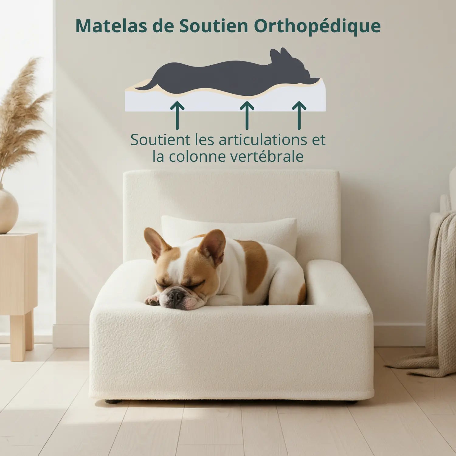 EasyPaw Lit Orthopédique Teddy