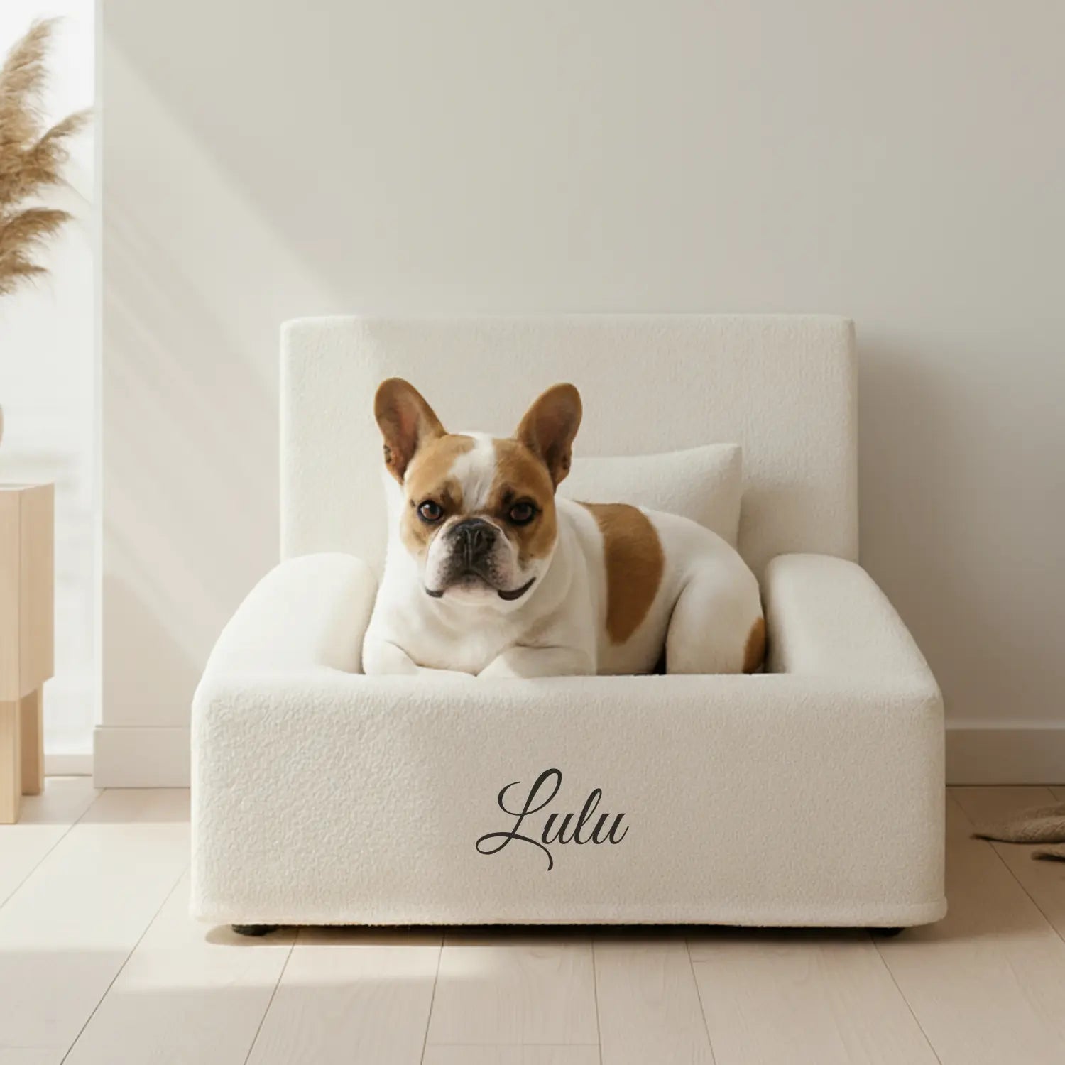 EasyPaw Lit Orthopédique Teddy