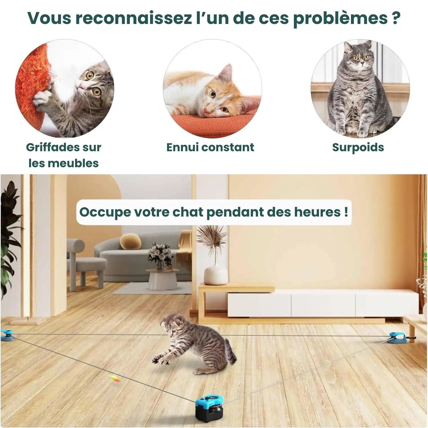 EasyPaw™ Jouet de Poursuite Pour Chat