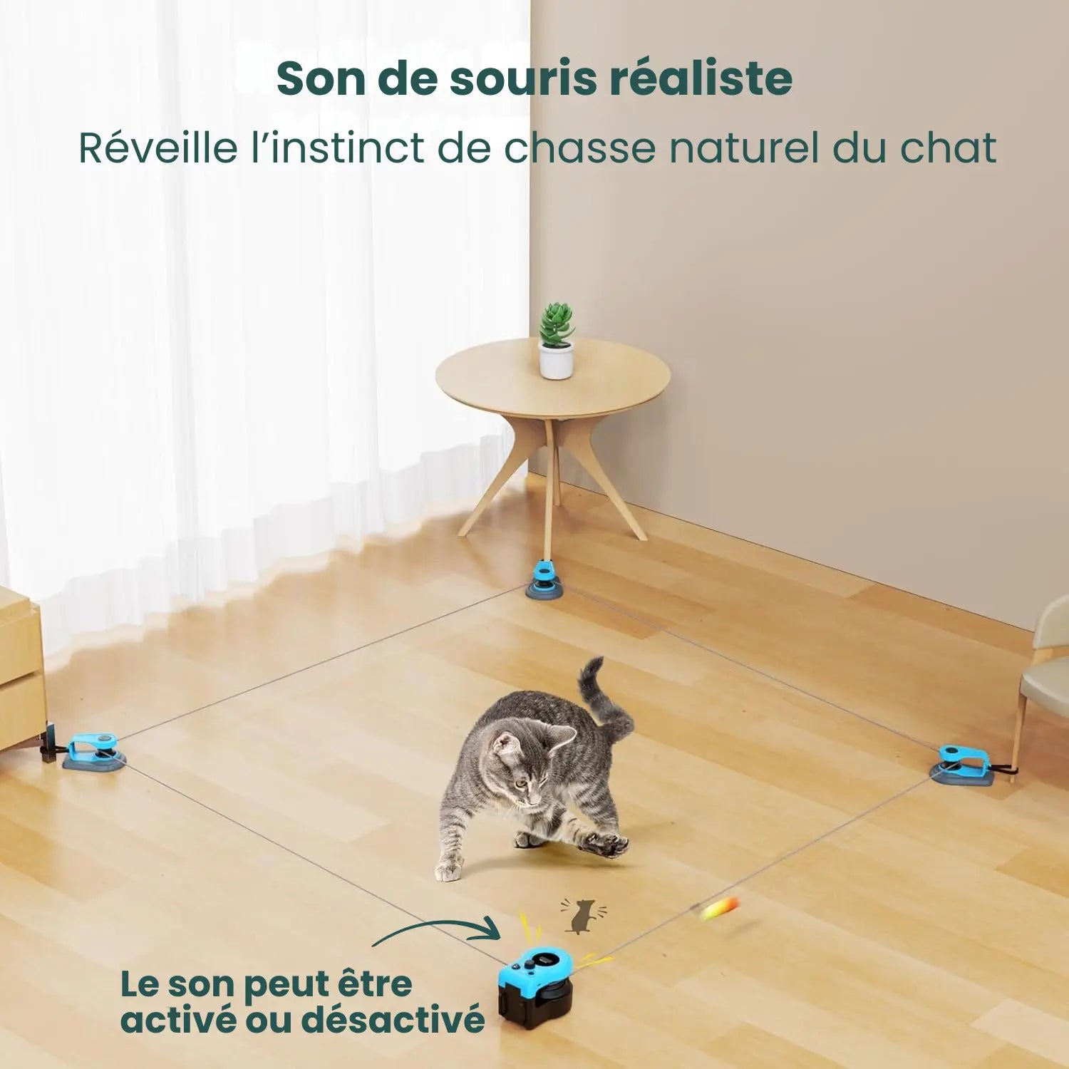 EasyPaw™ Jouet de Poursuite Pour Chat