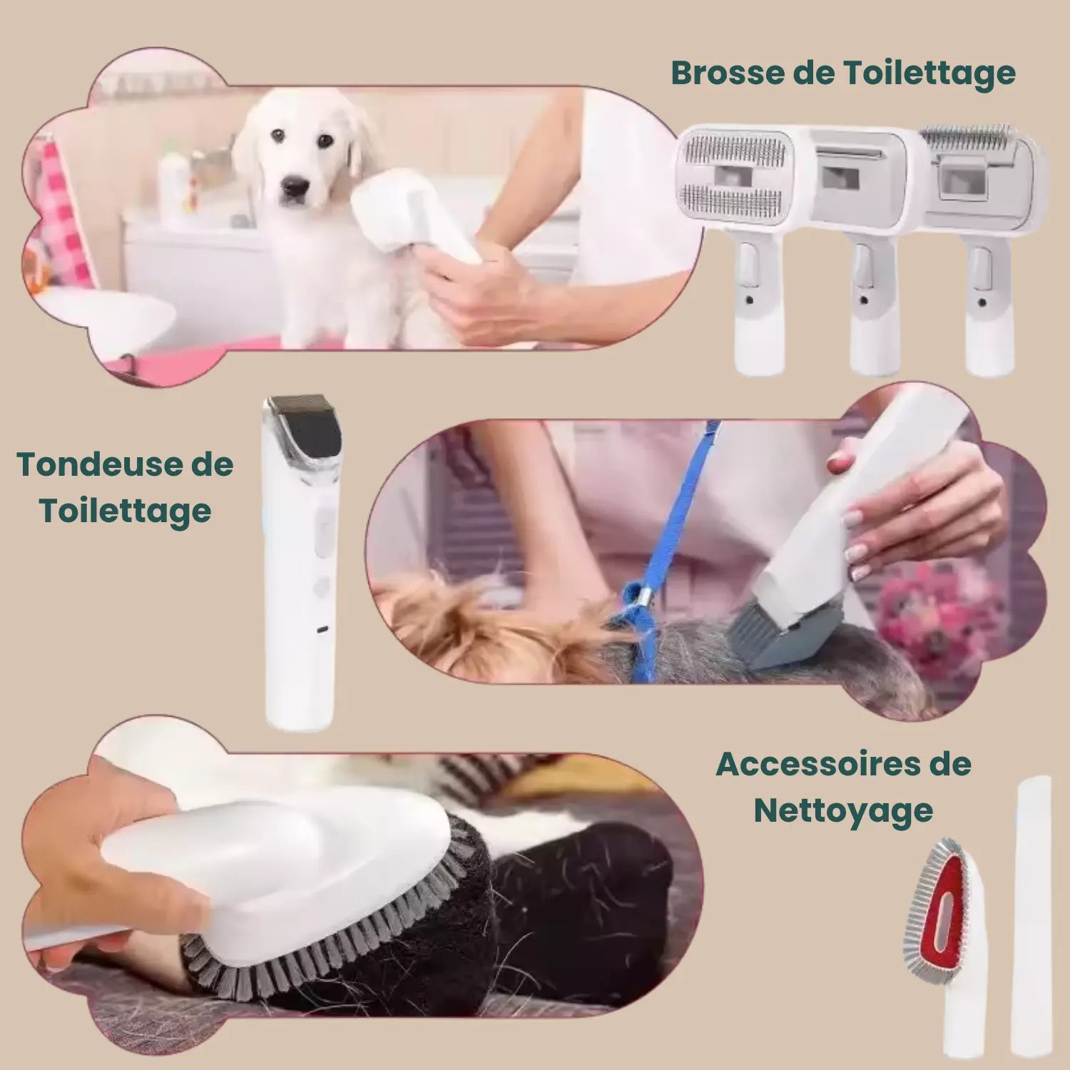 Kit de Toilettage Avec Aspirateur